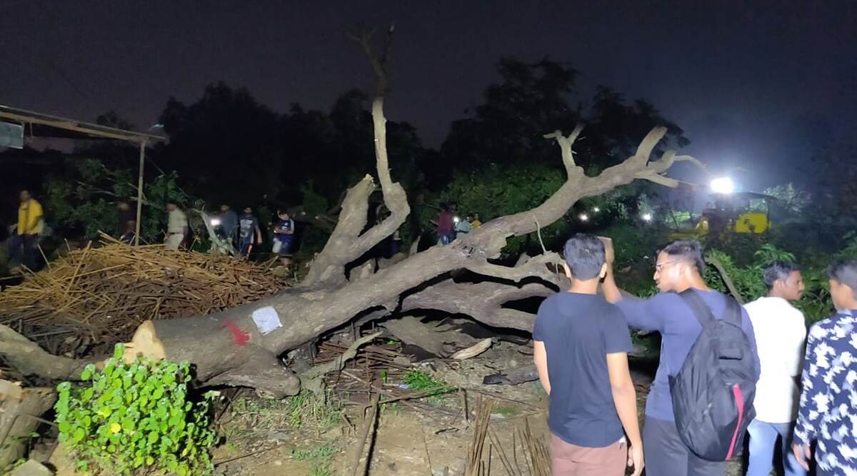 आरे में जारी रहेगी पेड़ों की कटाई, बॉम्बे हाईकोर्ट ने रोक लगाने से किया इनकार- 29 पर्यावरण प्रेमियों को नहीं दी जमानत आरे में जारी रहेगी पेड़ों की कटाई, बॉम्बे हाईकोर्ट ने रोक लगाने से किया इनकार- 29 पर्यावरण प्रेमियों को नहीं दी जमानत