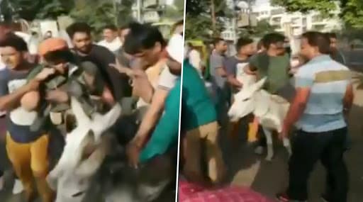राजस्थान: बीएसपी नेता रामजी गौतम को कार्यकताओं ने जूते की माला पहनाकर गधे पर घुमाया, मुंह पर पोती कालिख राजस्थान: बीएसपी नेता रामजी गौतम को कार्यकताओं ने जूते की माला पहनाकर गधे पर घुमाया, मुंह पर पोती कालिख