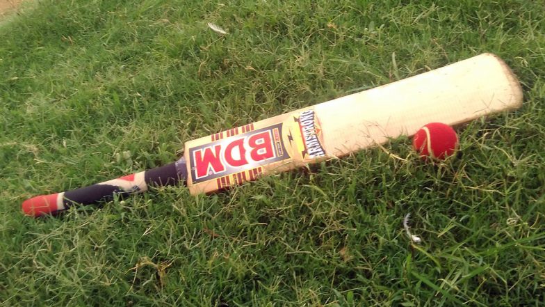 KPL Match fixing: बेंगलुरु ब्लास्टर्स के बल्लेबाज एम विश्वनाथम और गेंदबाजी कोच वीनू प्रसाद पाए गए मैच फिक्सिंग के दोषी, हुए गिरफ्तार