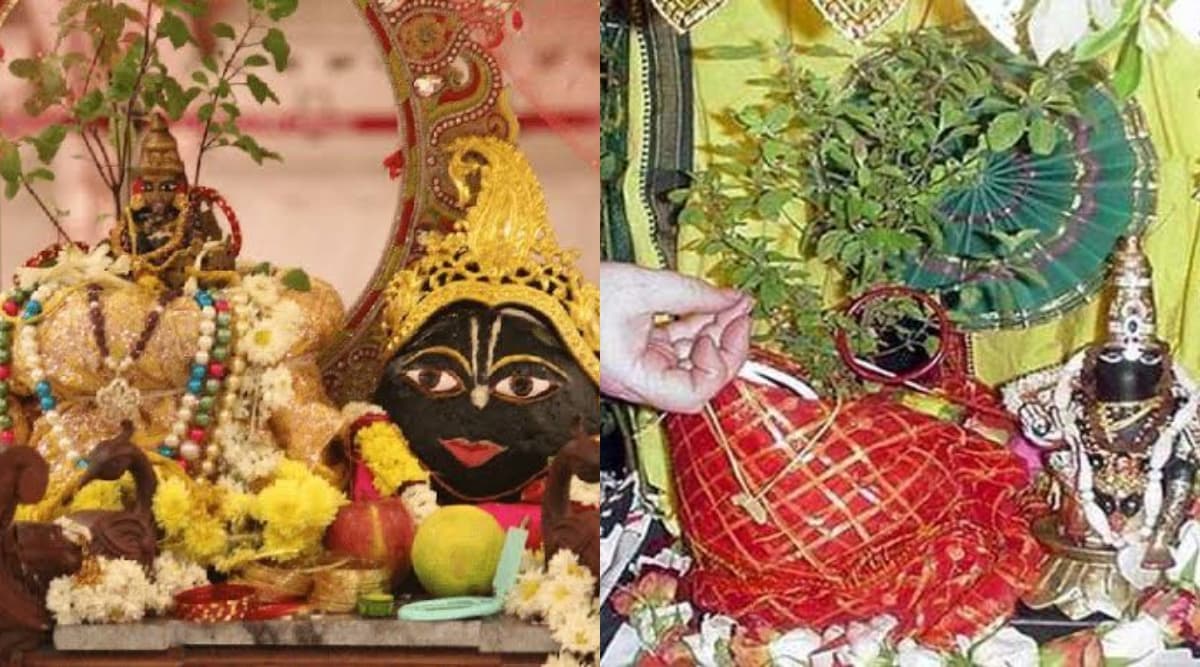 Tulsi Vivah 2019: जानिए तुलसी विवाह का शुभ मुहूर्त, पूजा विधि और व्रत कथा Tulsi Vivah 2019: जानिए तुलसी विवाह का शुभ मुहूर्त, पूजा विधि और व्रत कथा