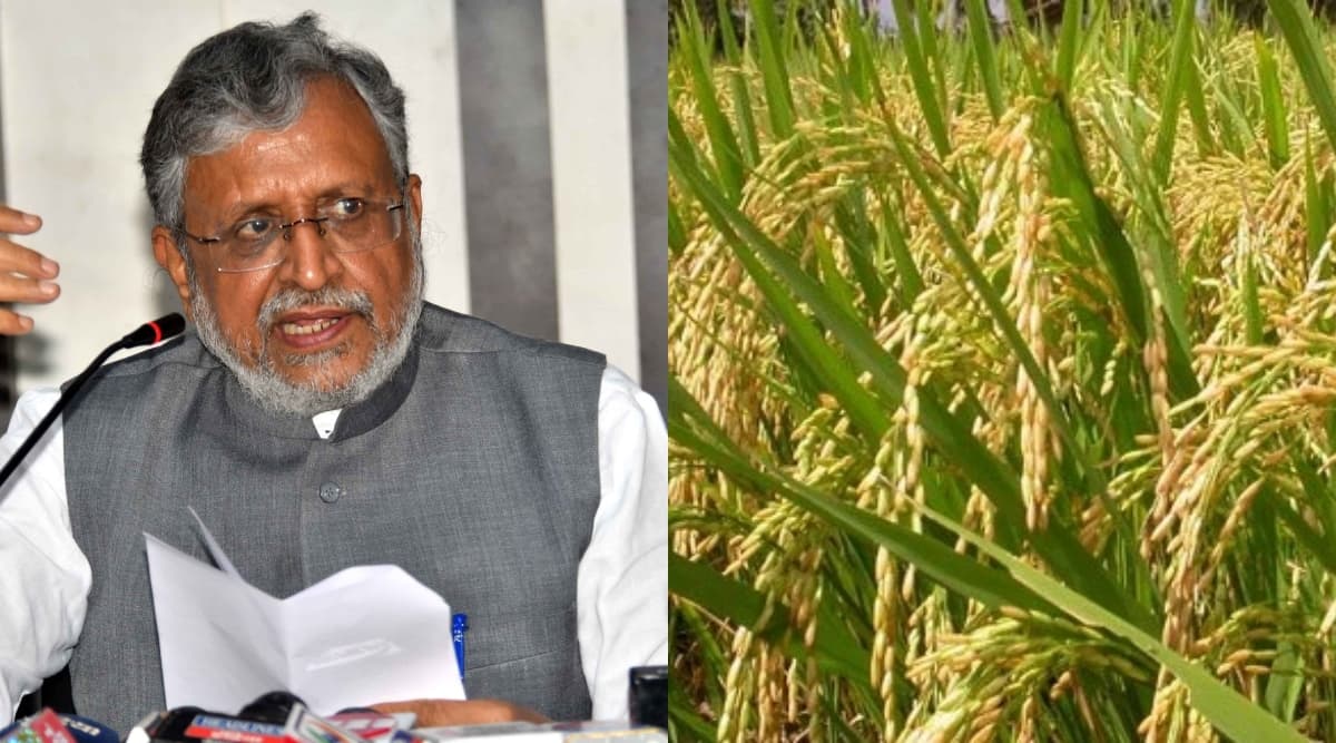 बिहार: उपमुख्यमंत्री सुशील कुमार मोदी ने कहा- नमीयुक्त धानों को सुखाकर खरीदेगी सरकार, 15 नवंबर से होगी खरीददारी बिहार: उपमुख्यमंत्री सुशील कुमार मोदी ने कहा- नमीयुक्त धानों को सुखाकर खरीदेगी सरकार, 15 नवंबर से होगी खरीददारी