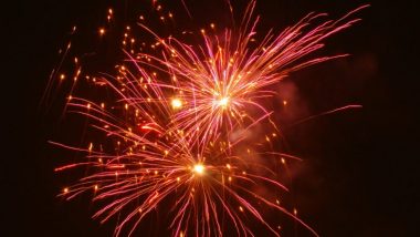Odisha: अक्टूबर महीने में त्योहार के दौरान पटाखों की बिक्री और उपयोग पर रहेगा प्रतिबंध