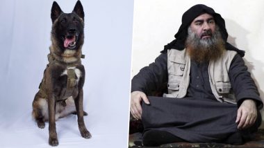 अबु बक्र अल-बगदादी को मौत के घाट उतारने में इस कुत्ते ने निभाया था बड़ा रोल, अमेरिका के प्रेसिडेंट ट्रंप ने ट्वीट कर कही ये बात