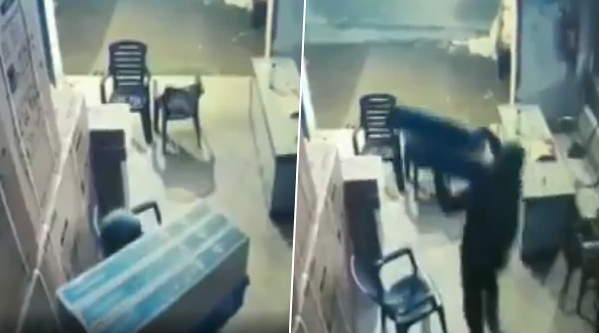 बिहार में धनतेरस से पहले चोरों ने मचाया आतंक, 50 लाख की LED TV फुर्रर- देखें VIDEO बिहार में धनतेरस से पहले चोरों ने मचाया आतंक, 50 लाख की LED TV फुर्रर- देखें VIDEO