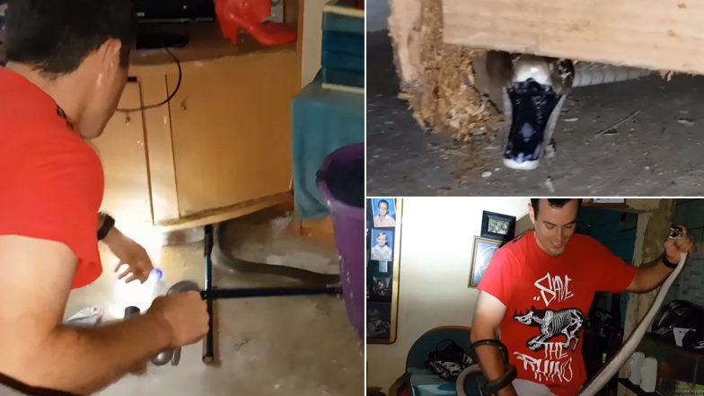 घर में टेबल के नीचे छिपकर बैठा था दुनिया का सबसे खतरनाक ब्लैक माम्बा सांप, वीडियो देखकर हो जाएंगे हैरान