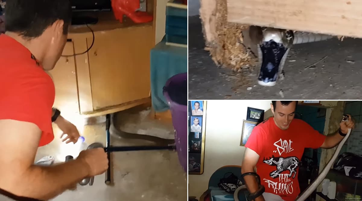 घर में टेबल के नीचे छिपकर बैठा था दुनिया का सबसे खतरनाक ब्लैक माम्बा सांप, वीडियो देखकर हो जाएंगे हैरान घर में टेबल के नीचे छिपकर बैठा था दुनिया का सबसे खतरनाक ब्लैक माम्बा सांप, वीडियो देखकर हो जाएंगे हैरान