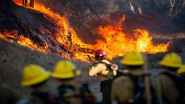 कैलिफोर्निया के जंगल में लगी भीषण आग, हजारों लोगों को निकाला गया