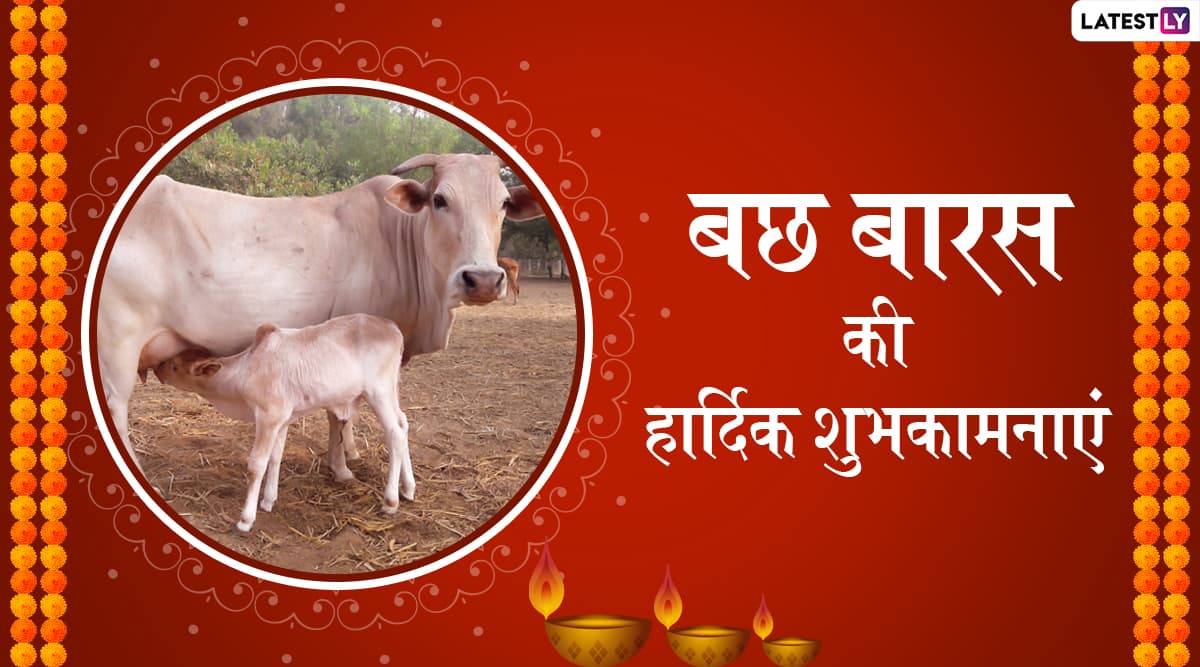 Govatsa Dwadashi/ Vasu Baras 2019 Wishes: गौ सेवा को समर्पित है गोवत्स द्वादशी, इन शानदार हिंदी WhatsApp Stickers, Facebook Greetings, Photo SMS, GIF Images के जरिए दें अपने प्रियजनों को शुभकामनाएं Govatsa Dwadashi/ Vasu Baras 2019 Wishes: गौ सेवा को समर्पित है गोवत्स द्वादशी, इन शानदार हिंदी WhatsApp Stickers, Facebook Greetings, Photo SMS, GIF Images के जरिए दें अपने प्रियजनों को शुभकामनाएं