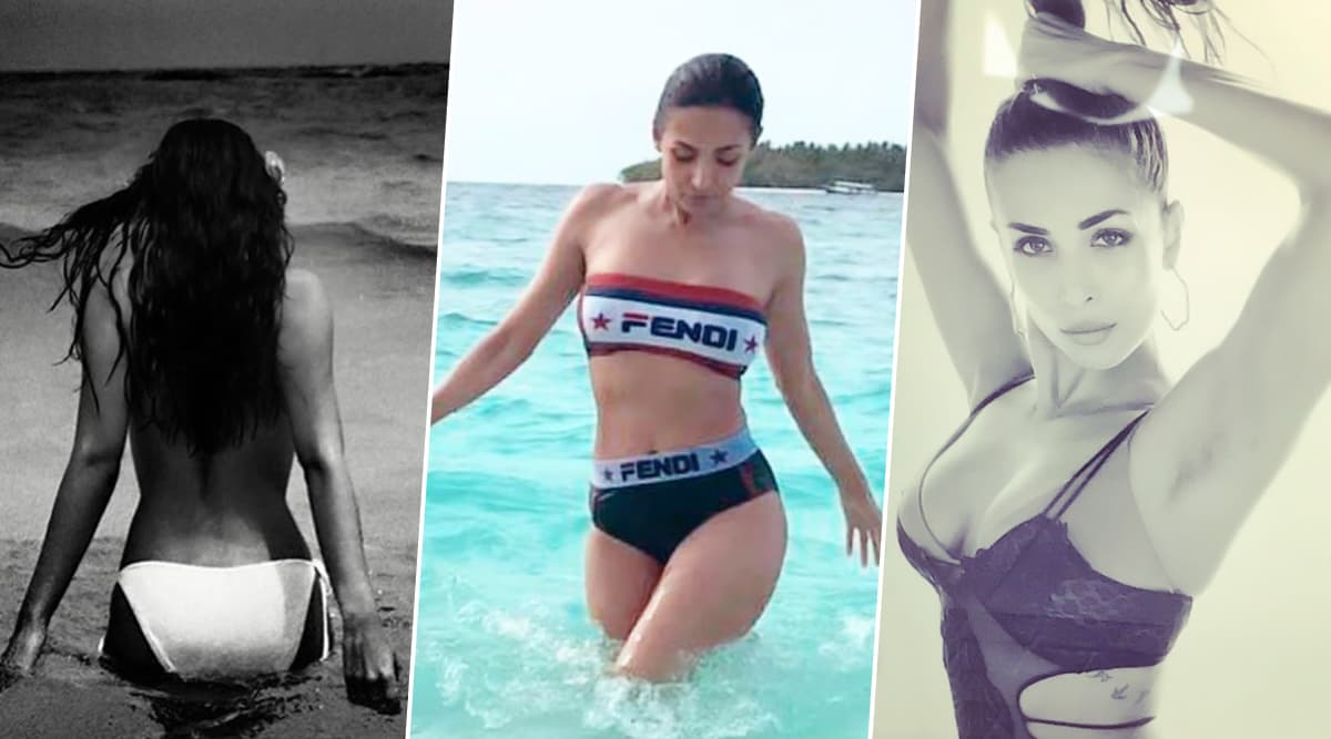 Happy Birthday Malaika Arora: 46 साल की उम्र में भी बेहद Hot है हुस्न की ये मल्लिका, 7 तस्वीरें है इसका सबूत Happy Birthday Malaika Arora: 46 साल की उम्र में भी बेहद Hot है हुस्न की ये मल्लिका, 7 तस्वीरें है इसका सबूत