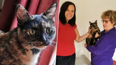 ब्रिटेन: 9 महीने की बिल्ली के साथ बेरहमी से मारपीट और बलात्कार, अस्पताल में भर्ती, देखें हैरान कर देनेवाली तस्वीरें