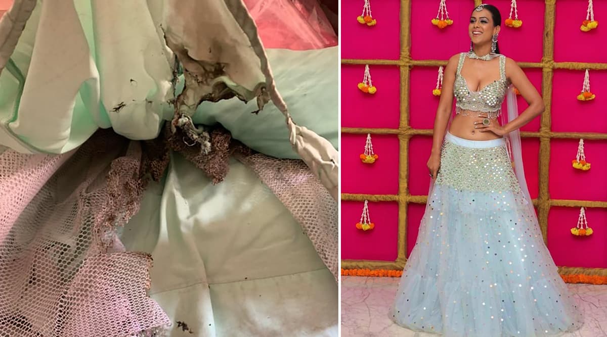 हॉट एक्ट्रेस निया शर्मा के साथ दिवाली पार्टी में हुआ ये हादसा, बाल-बाल बची जान हॉट एक्ट्रेस निया शर्मा के साथ दिवाली पार्टी में हुआ ये हादसा, बाल-बाल बची जान