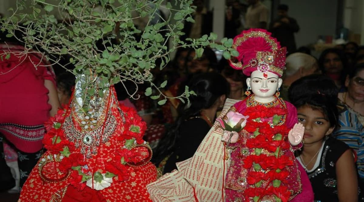 Tulsi Vivah 2019: अपने वैवाहिक जीवन को खुशहाल और सुखमय बनाने के लिए तुलसी विवाह के दिन करें ये काम Tulsi Vivah 2019: अपने वैवाहिक जीवन को खुशहाल और सुखमय बनाने के लिए तुलसी विवाह के दिन करें ये काम