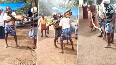 केरल: बुजुर्ग शख्स की गर्दन को 10 फिट के अजगर ने जकड़ा, उसके बाद जो हुआ.. देखें वायरल वीडियो
