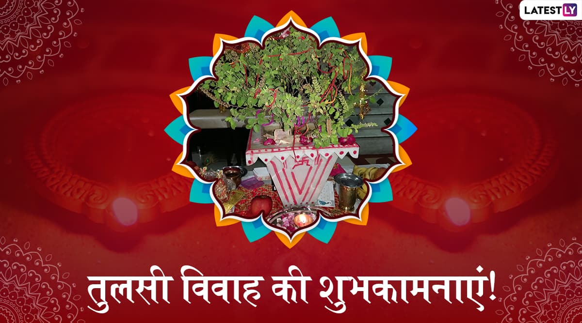Tulsi Vivah 2019 Wishes: तुलसी विवाह के शुभ अवसर पर ये हिंदी WhatsApp Stickers, Facebook Greetings, SMS, GIF Images, Wallpapers भेजकर अपने प्रियजनों को दें शुभकामनाएं Tulsi Vivah 2019 Wishes: तुलसी विवाह के शुभ अवसर पर ये हिंदी WhatsApp Stickers, Facebook Greetings, SMS, GIF Images, Wallpapers भेजकर अपने प्रियजनों को दें शुभकामनाएं