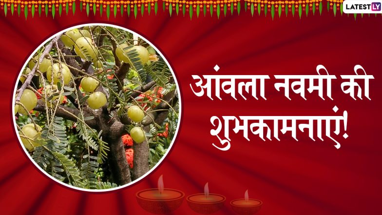 Amla Navami 2019 Wishes & Messages: आंवला नवमी के शुभ अवसर पर ये हिंदी WhatsApp Stickers, Facebook Greetings, SMS, GIF Images, Wallpapers भेजकर अपने प्रियजनों को दें शुभकामनाएं