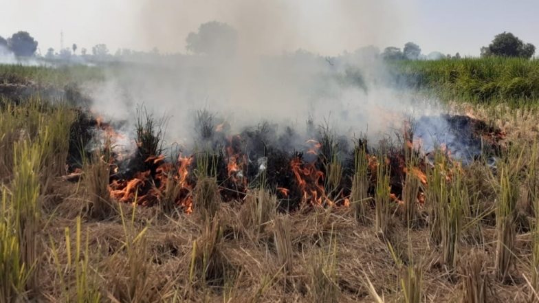 उत्तर प्रदेश: 10 दिनों में खेतों में पराली जलाने के आरोप में 10 किसान गिरफ्तार