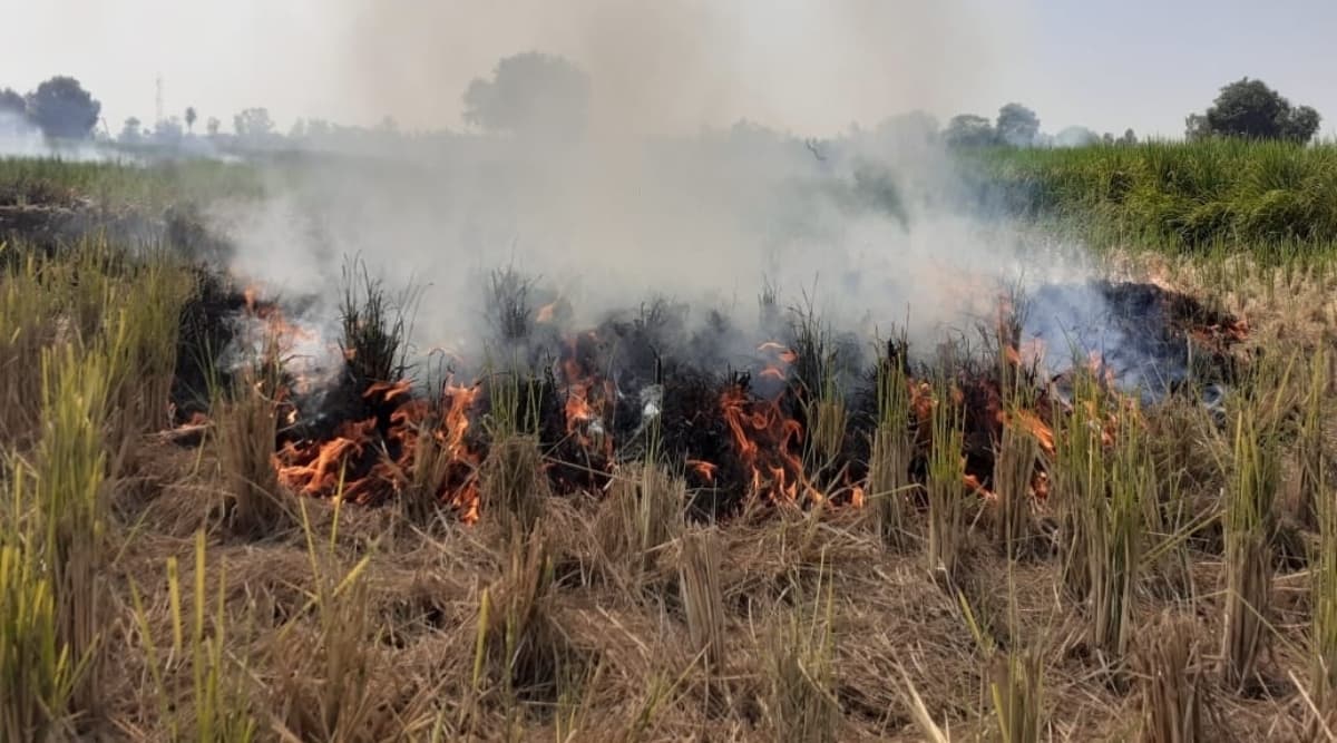 उत्तर प्रदेश: 10 दिनों में खेतों में पराली जलाने के आरोप में 10 किसान गिरफ्तार