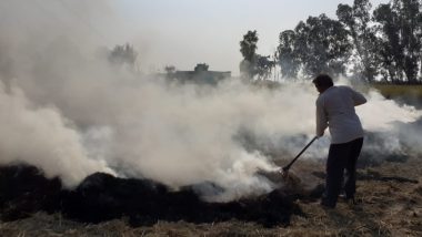 प्रतिबंध के बावजूद लगातार पराली जलाए जाने से दिल्ली की वायु गुणवत्ता 'गंभीर' श्रेणी में दर्ज