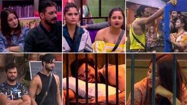 Bigg Boss 13 Day 46 Highlights: हिंदुस्तानी भाऊ पर फूटा देवोलीना भट्टाचार्जी का गुस्सा, माहिरा शर्मा और पारस छाबड़ा की दोस्ती में पड़ी दरार