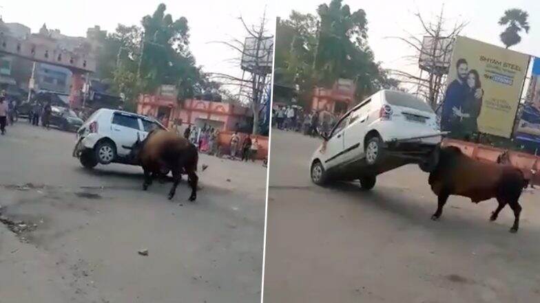 बिहार: हाजीपुर में हॉर्न बजने से गुस्साया सांड, पटक दी कार, देखें वायरल वीडियो बिहार: हाजीपुर में हॉर्न बजने से गुस्साया सांड, पटक दी कार, देखें वायरल वीडियो