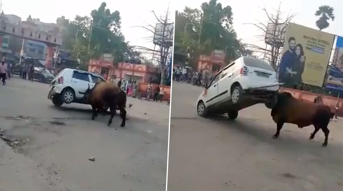 बिहार: हाजीपुर में हॉर्न बजने से गुस्साया सांड, पटक दी कार, देखें वायरल वीडियो बिहार: हाजीपुर में हॉर्न बजने से गुस्साया सांड, पटक दी कार, देखें वायरल वीडियो