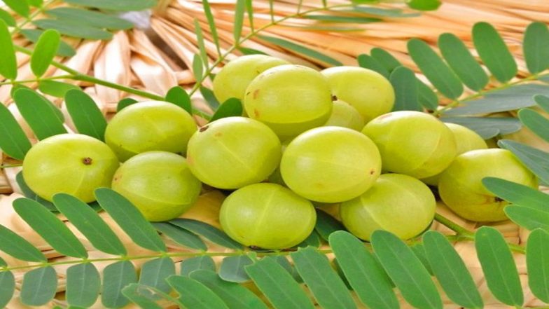 Amalaki Ekadashi 2021: आमलकी एकादशी कब है? जानें इस व्रत का महात्म्य, क्यों की जाती है इस दिन परशुरामजी की पूजा?