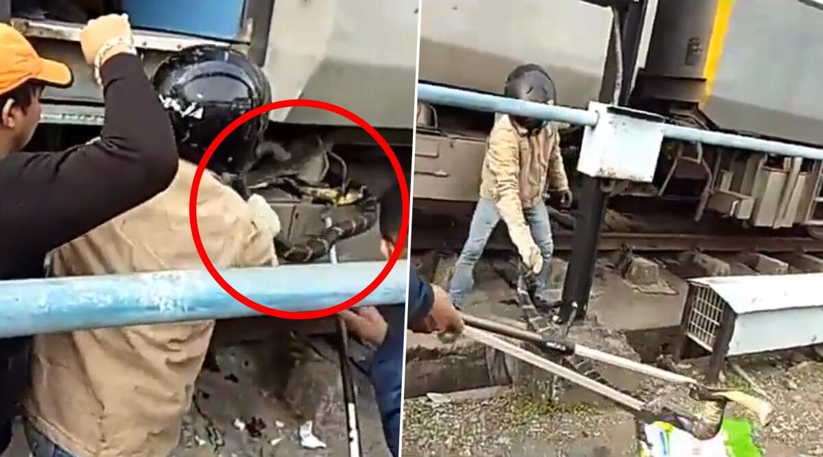उत्तराखंड: सुपर-फास्ट ट्रेन से निकाला गया 10 फुट लंबा किंग कोबरा, देखें वायरल वीडियो उत्तराखंड: सुपर-फास्ट ट्रेन से निकाला गया 10 फुट लंबा किंग कोबरा, देखें वायरल वीडियो