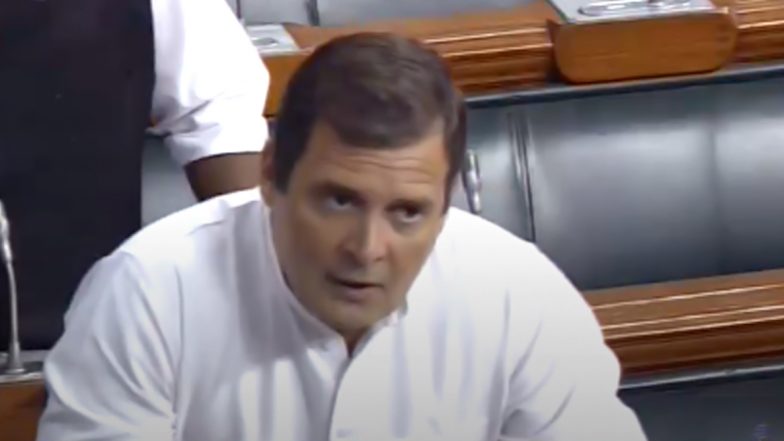 महाराष्ट्र के मुद्दे पर संसद में जमकर हंगामा, लोकसभा में राहुल गांधी बोले- लोकतंत्र की हत्या हुई