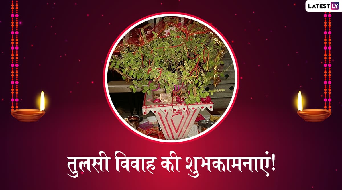 Tulsi Vivah 2019 Messages: तुलसी विवाह के शुभ अवसर पर ये हिंदी WhatsApp Stickers, Facebook Greetings, SMS, GIF Images, Wallpapers भेजकर अपने प्रियजनों को दें शुभकामनाएं Tulsi Vivah 2019 Messages: तुलसी विवाह के शुभ अवसर पर ये हिंदी WhatsApp Stickers, Facebook Greetings, SMS, GIF Images, Wallpapers भेजकर अपने प्रियजनों को दें शुभकामनाएं