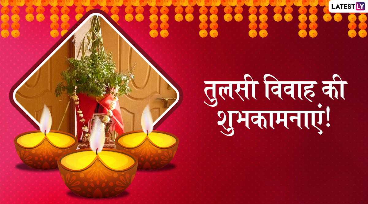 Tulsi Vivah 2019 Wishes & Messages: तुलसी विवाह के ...