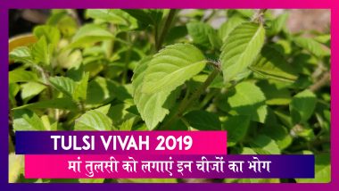 Tulsi Vivah 2019: अगर हाथ में नहीं रुकते पैसे तो तुलसी पूजन के दौरान इन चीजों का लगाएं भोग