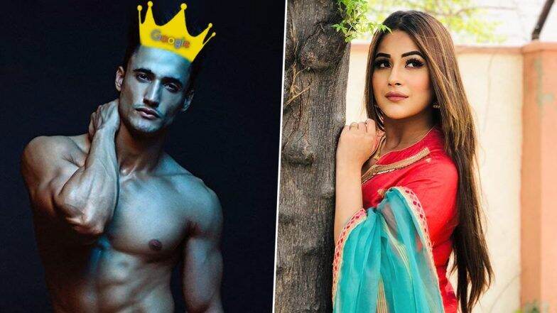 Bigg Boss 13 का ताज जीता असीम रियाज ने जबकि शहनाज गिल रही दूसरे नंबर पर, शो खत्म होने से पहले ही गूगल ने किया ऐलान Bigg Boss 13 का ताज जीता असीम रियाज ने जबकि शहनाज गिल रही दूसरे नंबर पर, शो खत्म होने से पहले ही गूगल ने किया ऐलान