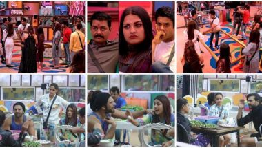 Bigg Boss 13 Day 53 Highlights: भोजपुरी स्टार खेसारी लाल यादव हुए शो से बाहर