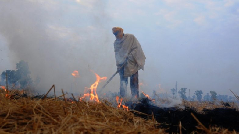 उत्तर प्रदेश में 300 किसानों पर पराली जलाने के लिए मामला दर्ज