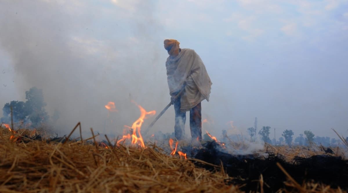 उत्तर प्रदेश में 300 किसानों पर पराली जलाने के लिए मामला दर्ज उत्तर प्रदेश में 300 किसानों पर पराली जलाने के लिए मामला दर्ज