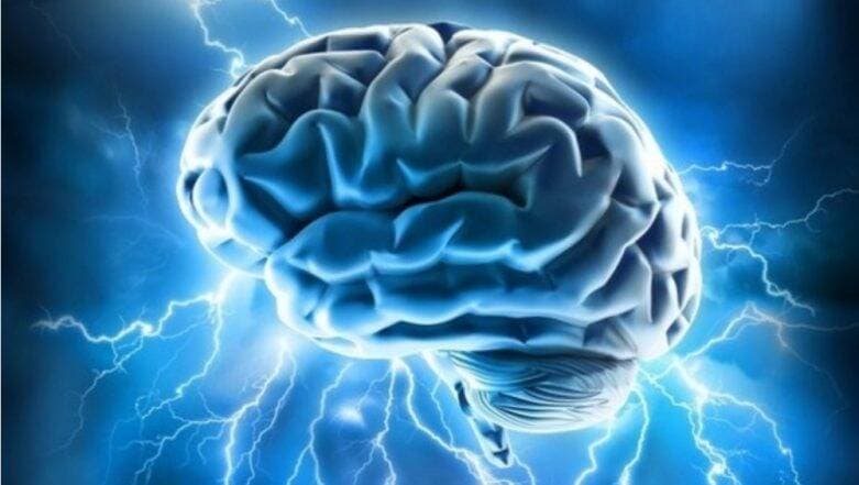 National Epilepsy Day 2019: मिर्गी नहीं है लाइलाज बीमारी, इससे डरने की बजाय जागरूक बनें, जानें इसके लक्षण, कारण और बचाव के तरीके National Epilepsy Day 2019: मिर्गी नहीं है लाइलाज बीमारी, इससे डरने की बजाय जागरूक बनें, जानें इसके लक्षण, कारण और बचाव के तरीके