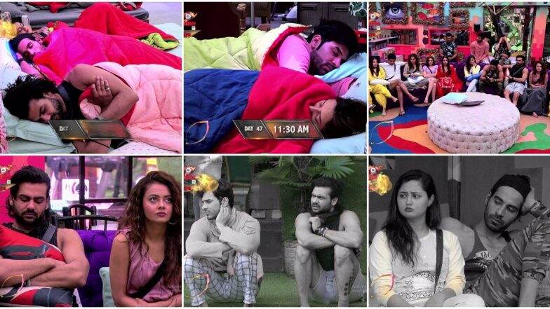 Bigg Boss 13 Day 45 Highlights: हिंदुस्तानी भाऊ पर भड़कीं देवोलीना भट्टाचार्जी, रद्द हुआ लक्जरी बजट टास्क