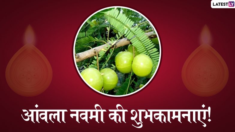 Amla Navami 2019 Wishes & Messages: आंवला नवमी के शुभ अवसर पर ये हिंदी WhatsApp Stickers, Facebook Greetings, SMS, GIF Images, Wallpapers भेजकर अपने प्रियजनों को दें शुभकामनाएं