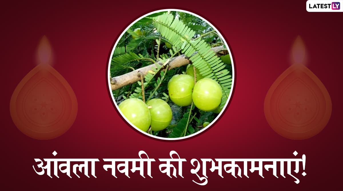 Amla Navami 2019 Wishes & Messages: आंवला नवमी के शुभ अवसर पर ये हिंदी WhatsApp Stickers, Facebook Greetings, SMS, GIF Images, Wallpapers भेजकर अपने प्रियजनों को दें शुभकामनाएं Amla Navami 2019 Wishes & Messages: आंवला नवमी के शुभ अवसर पर ये हिंदी WhatsApp Stickers, Facebook Greetings, SMS, GIF Images, Wallpapers भेजकर अपने प्रियजनों को दें शुभकामनाएं