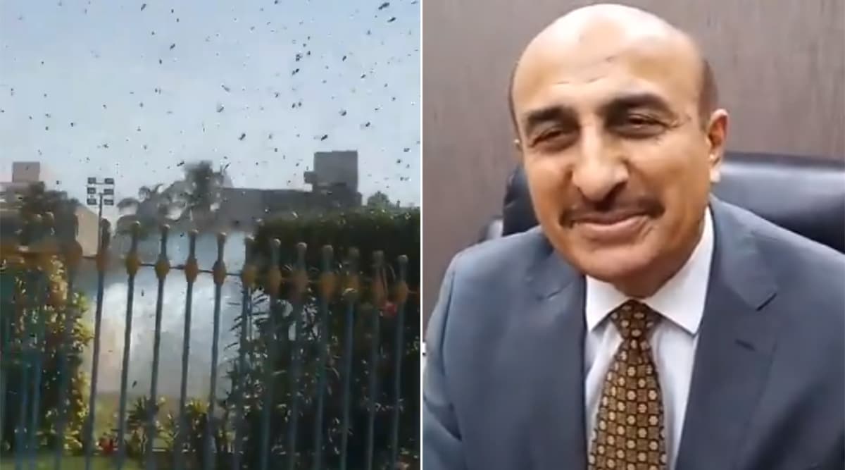 पाकिस्तान: टिड्डियों के झुंड से निपटने में असमर्थ कराची के लोगों को सिंध के मंत्री ने दी बिरयानी बनाने की सलाह पाकिस्तान: टिड्डियों के झुंड से निपटने में असमर्थ कराची के लोगों को सिंध के मंत्री ने दी बिरयानी बनाने की सलाह