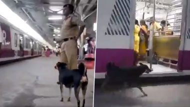 लोगों को भौंककर रेलवे ट्रैक पार करने से रोकता है ये आवारा कुत्ता, देखें वायरल वीडियो