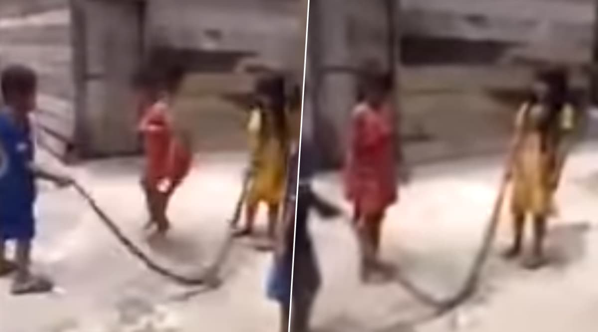 सांप से ये बच्चे खेल रहे हैं रस्सी कूद, देखें हैरान कर देने वाला वायरल वीडियो सांप से ये बच्चे खेल रहे हैं रस्सी कूद, देखें हैरान कर देने वाला वायरल वीडियो