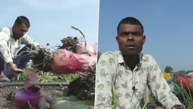 अजब मध्यप्रदेश की गजब कहानी: खेत से 30 हजार रुपये के प्याज की खड़ी फसल उखाड़ ले भागे चोर