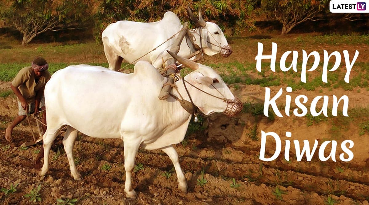 Kisan Diwas 2019: क्यों मनाया जाता है फार्मर्स डे, जानें राष्ट्रीय किसान दिवस का इतिहास और महत्व Kisan Diwas 2019: क्यों मनाया जाता है फार्मर्स डे, जानें राष्ट्रीय किसान दिवस का इतिहास और महत्व