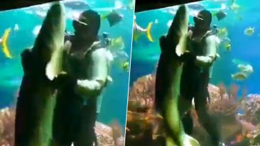 खूंखार शार्क के साथ एक शख्स ने किया गजब का डांस, शायद ही आपने देखा हो ऐसा VIDEO