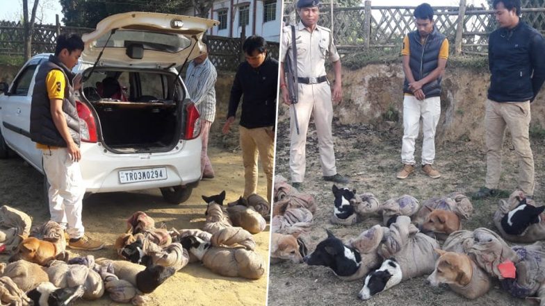 त्रिपुरा-मिजोरम सीमा पर पुलिस ने 12 आवारा कुत्तों के साथ दो लोगों को किया गिरफ्तार, जानें क्या है कारण