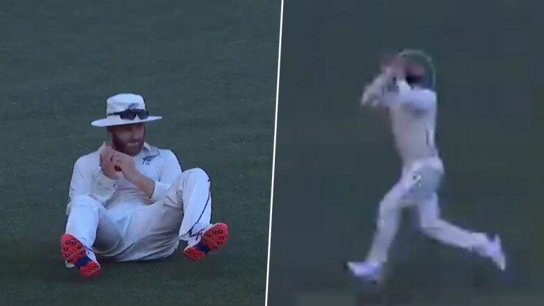 AUS vs NZ 1st Test Match 2019: पर्थ में केन विलियमसन ने मिचेल स्टार्क का पकड़ा शानदार कैच, देखें वीडियो