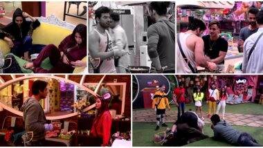 Bigg Boss 13 Day 72 Highlights: शेफाली बग्गा और रश्मि देसाई के बीच हुई लड़ाई, टास्क को लेकर घर में मचा कोहराम