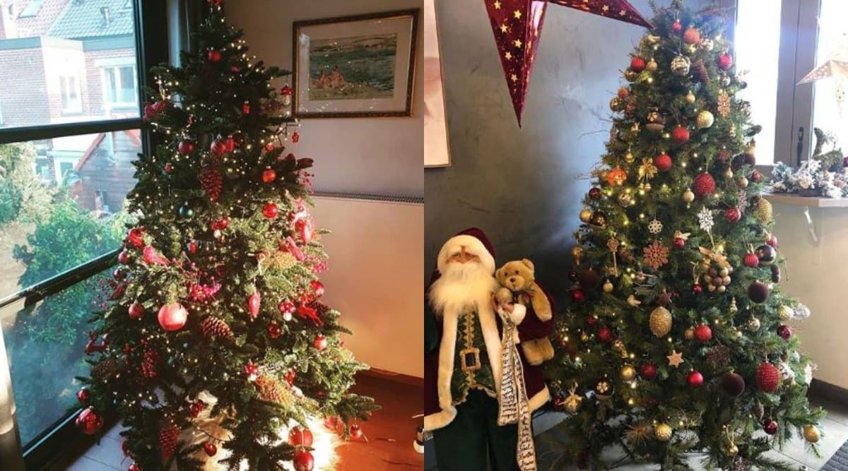 Christmas 2019: क्रिसमस ट्री के बिना क्यों अधूरा माना जाता है यह त्योहार, जानें इस वृक्ष का महत्व और इससे जुड़े रोचक तथ्य Christmas 2019: क्रिसमस ट्री के बिना क्यों अधूरा माना जाता है यह त्योहार, जानें इस वृक्ष का महत्व और इससे जुड़े रोचक तथ्य