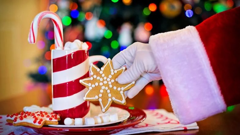 Christmas 2019: इस साल मनाएं इको-फ्रेंडली क्रिसमस, इस तरह करें पार्टी का आयोजन ताकि पर्यावरण को न पहुंचे नुकसान